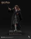 Harry Potter - Hermione Granger InArt 1/6 Scale Figure