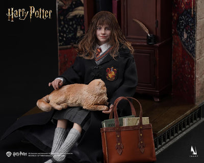 Harry Potter - Hermione Granger InArt 1/6 Scale Figure