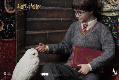Harry Potter and the Sorcerer's Stone - Harry Potter Deluxe In Art 1/6 Scale Figure