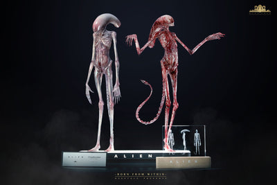 Alien: Covenant - Chestburster (Ver. B) Life-Size Statue by Deep Tale