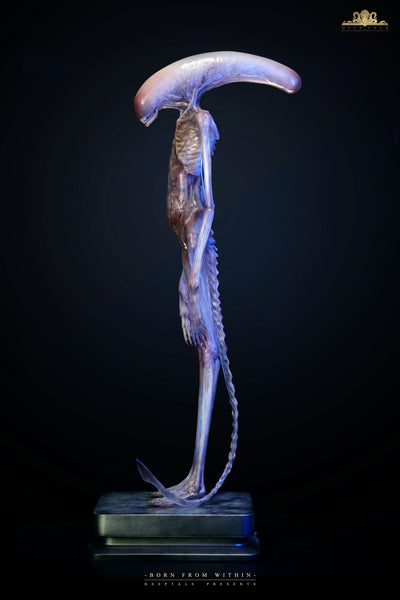 Alien: Covenant - Chestburster (Ver. B) Life-Size Statue by Deep Tale