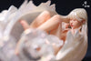 LING - The Cocoon Lady Statue