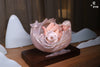 LING - The Cocoon Lady Statue