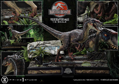 Jurassic World III - Velociraptor Male (Bonus Version) 1/6 Scale Statue