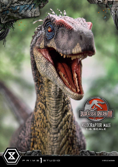 Jurassic World III - Velociraptor Male (Regular Version) 1/6 Scale Statue