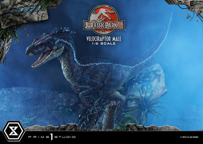 Jurassic World III - Velociraptor Male (Regular Version) 1/6 Scale Statue