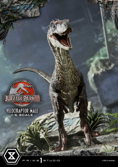 Jurassic World III - Velociraptor Male (Bonus Version) 1/6 Scale Statue