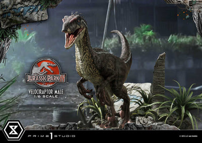 Jurassic World III - Velociraptor Male (Bonus Version) 1/6 Scale Statue