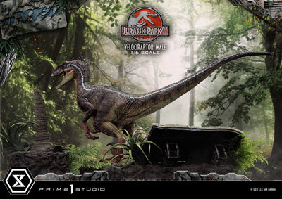 Jurassic World III - Velociraptor Male (Bonus Version) 1/6 Scale Statue