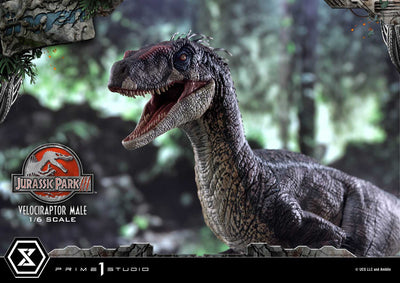 Jurassic World III - Velociraptor Male (Regular Version) 1/6 Scale Statue