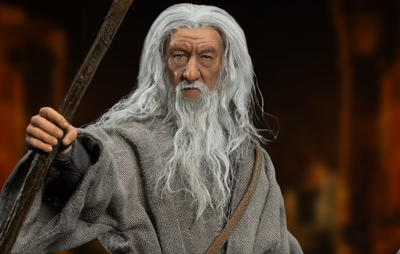 Gandalf the Grey DAH-106P Dynamic 8ction Heroes Figure