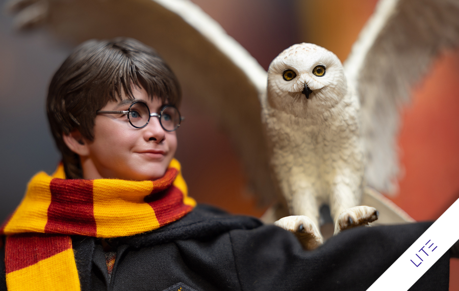 Harry Potter (Lite) Kojun Works 1/6 Scale Figure