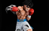 Hajime no Ippo - Ippo Makunouchi 1/6 Scale Statue