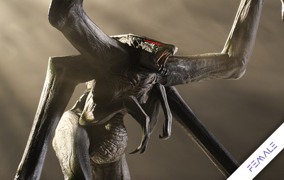 Godzilla (2014) - Muto Female Statue