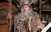 The Hobbit - Radagast in Rhosgobel 1/6 Scale Statue