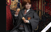 Harry Potter - Ron Weasley Deluxe InArt 1/6 Scale Figure