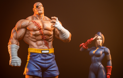Sagat & Juli 1/10 Scale Statue Set