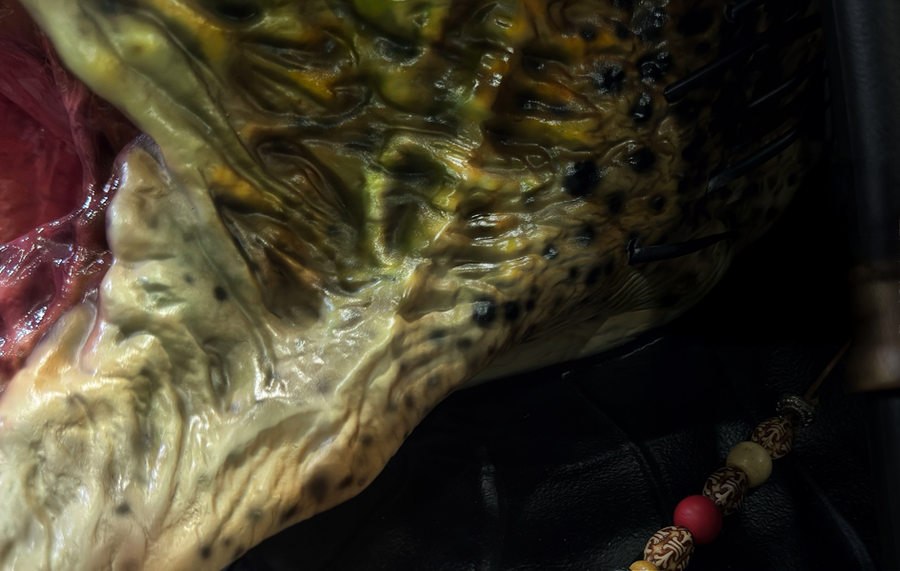 Wolf Predator Life-Size Bust by Deep Tale