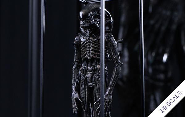 Alien - Xenomorph 1/8 Scale Statue by Reborn Studio - Spec Fiction Shop