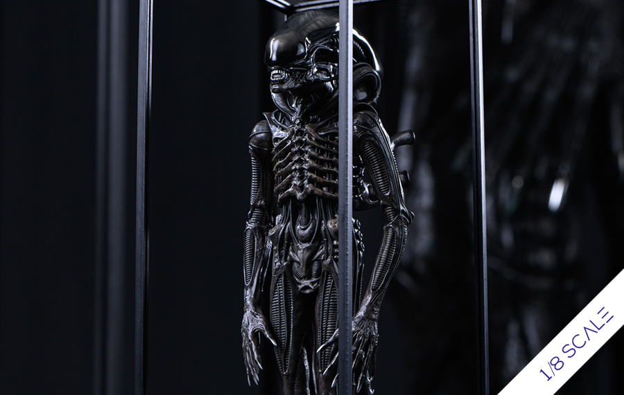 Alien - Xenomorph 1/8 Scale Statue by Reborn Studio