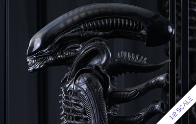 Alien - Xenomorph 1/2 Scale Statue by Reborn Studio