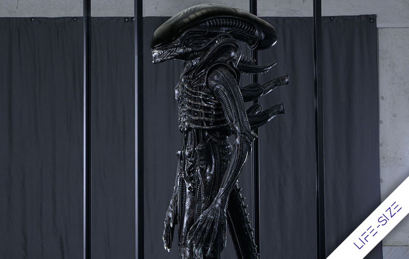 Alien - Xenomorph Life-Size Statue by Reborn Studio - Spec Fiction Shop