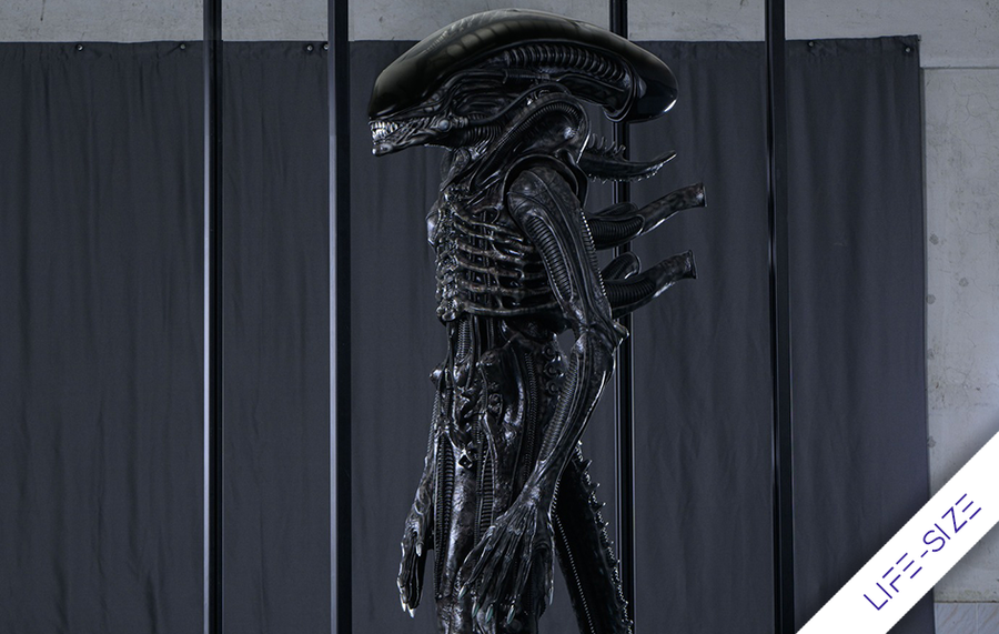 Alien - Xenomorph Life-Size Statue by Reborn Studio
