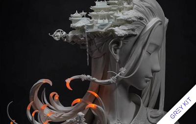 Yan Hua Yi Leng (Grey Kit) by Yuan Xing Liang x Vincent Fang
