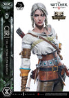 The Witcher 3: The Wild Hunt - Ciri Fiona Elen Riannon (Bonus) 1/3 Scale Statue