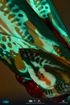 Mothra 2019 Imago Form (Standard Edition) Statue