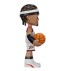 NBA 2023 - Allen lverson (AllStars Edition) Vinyl Art Collectible