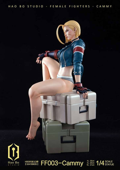 FF003 Cammy (Deluxe) 1/4 Scale Statue