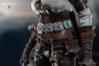 The Witcher 3: Wild Hunt - Ciri of Cintra 1/6 Scale Figure