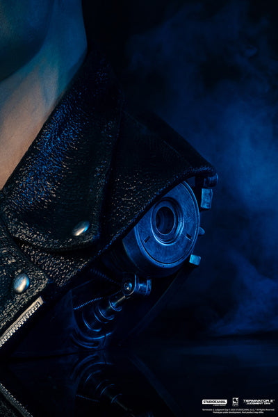 T-800 Model 101 Life-Size Art Mask