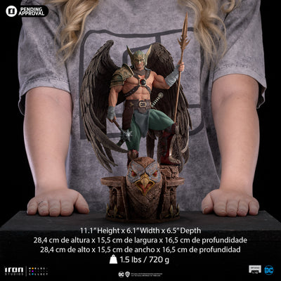 Hawkman 10th Anniversary Art Scale 1/10