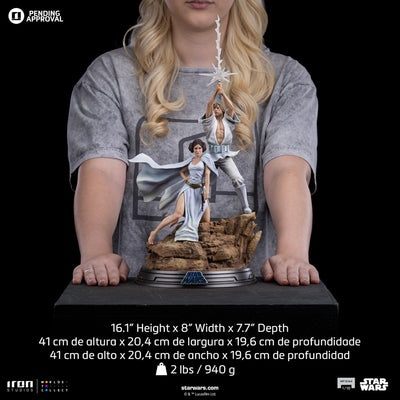 Luke & Leia Movie Poster Deluxe Art Scale 1/10