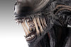 Alien: Romulus - Xenomorph Life-Size Bust