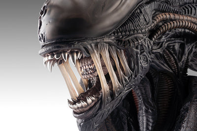 Alien: Romulus - Xenomorph Life-Size Bust