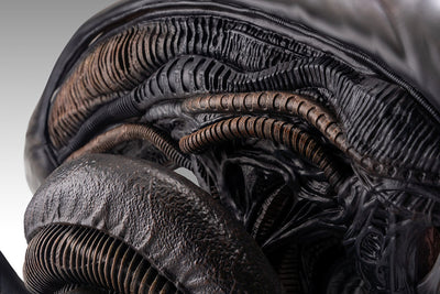Alien: Romulus - Xenomorph Life-Size Bust