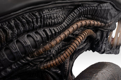 Alien: Romulus - Xenomorph Life-Size Bust