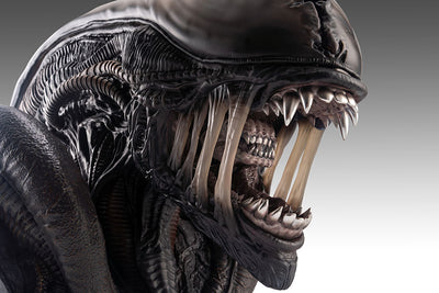 Alien: Romulus - Xenomorph Life-Size Bust