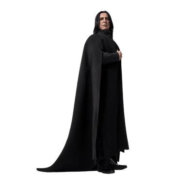 Harry Potter - Severus Snape InArt 1/6 Scale Figure