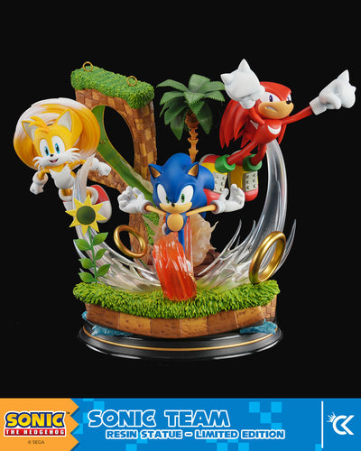 Sonic The Hedgehog - Sonic Team by Cartoon Kingdom