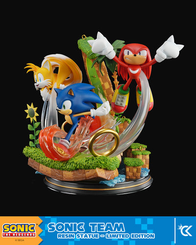 Sonic The Hedgehog - Sonic Team by Cartoon Kingdom