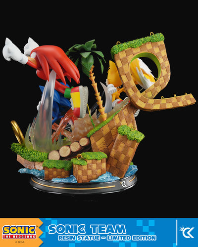 Sonic The Hedgehog - Sonic Team by Cartoon Kingdom