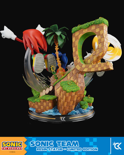 Sonic The Hedgehog - Sonic Team by Cartoon Kingdom