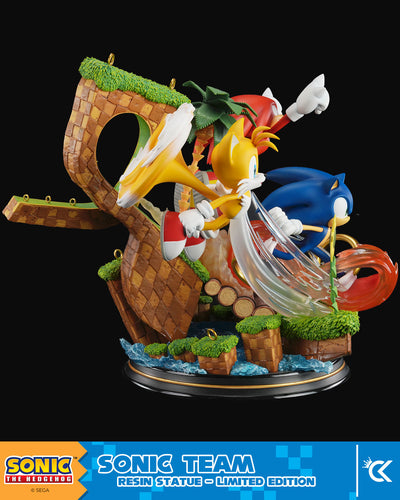 Sonic The Hedgehog - Sonic Team by Cartoon Kingdom