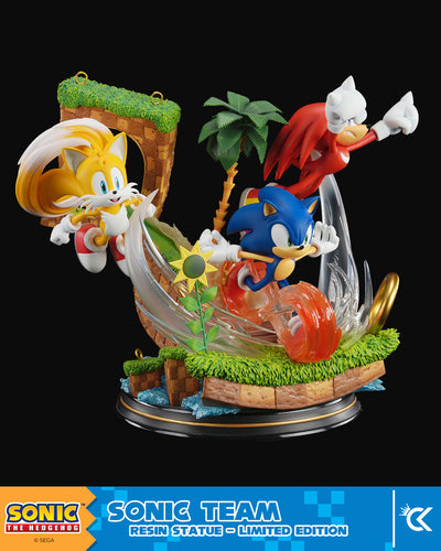 Sonic The Hedgehog - Sonic Team by Cartoon Kingdom