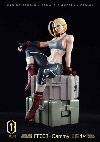 FF003 Cammy (Deluxe) 1/4 Scale Statue