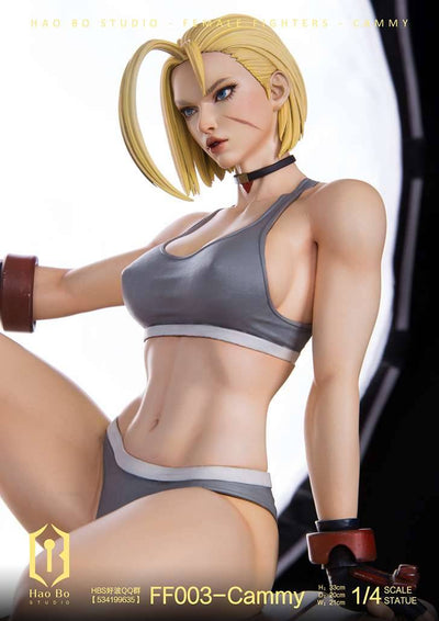 FF003 Cammy (Deluxe) 1/4 Scale Statue